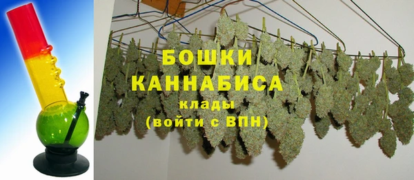 крисы Гатчина